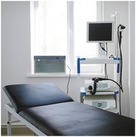 Endoscope with video camera