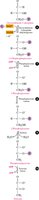 Glycolysis energy-generating reactions