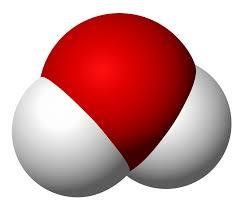 Water molecule, a classic hydrogen bond donor and acceptor