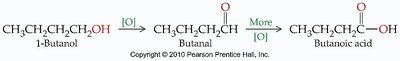 1-Butanol oxidation to butanal and butanoic acid