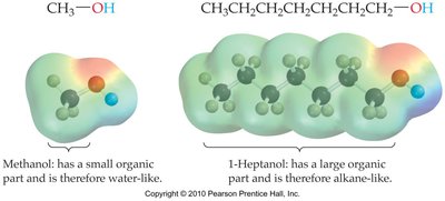 Methanol and 1-Heptanol molecular comparison