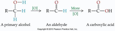 Primary alcohol oxidation sequence