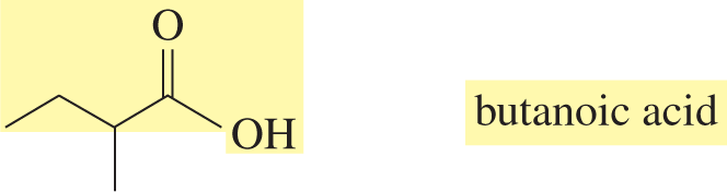 2-methylbutanoic acid structure