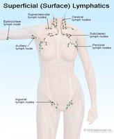 Superficial lymphatic nodes