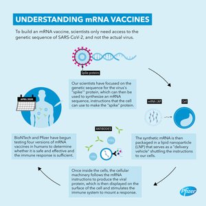 Infographic explaining mRNA vaccine mechanism