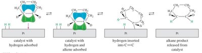 Catalytic hydrogenation mechanism