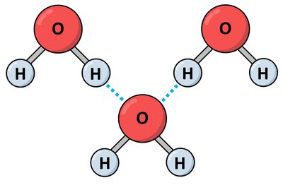 Hydrogen bonds between water molecules