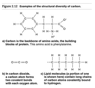 Structural diversity of carbon