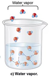Water vapor formation
