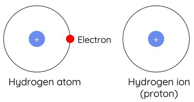Hydrogen atom vs hydrogen ion