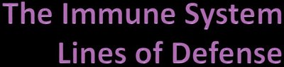The Immune System Lines of Defense