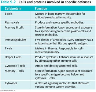 Table 9.2 Cells and proteins involved in specific defenses