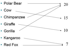 Animal to life span mapping diagram