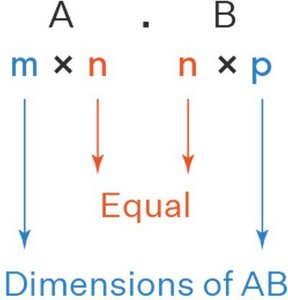 Matrix multiplication dimension rule