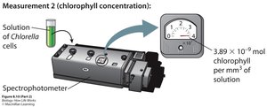 Measurement of chlorophyll concentration