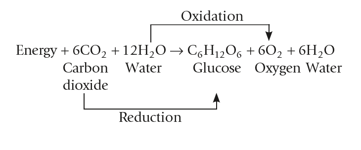 Photosynthesis chemical equation with oxidation and reduction