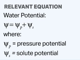 Equation for water potential
