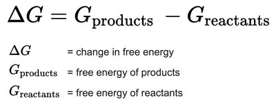 Gibbs free energy equation