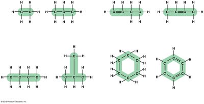 Summary of carbon skeleton diversity
