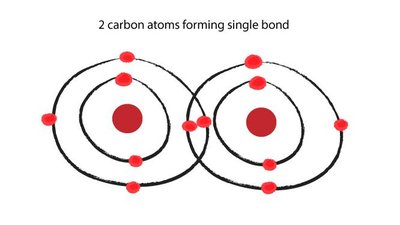 Two carbon atoms forming a single bond