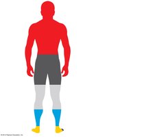 Diagram showing the elemental composition of the human body