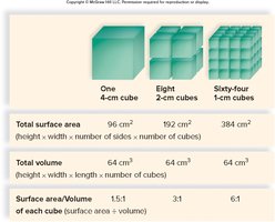 Surface-area-to-volume ratio comparison of cubes