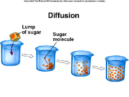 Diffusion of sugar in water