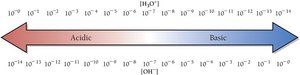 Acidic and basic solutions on the pH scale
