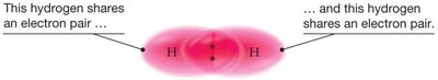 Electron density overlap in H2 molecule