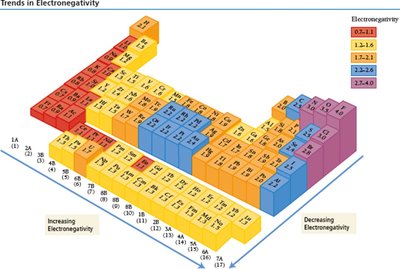 Periodic table showing electronegativity trends