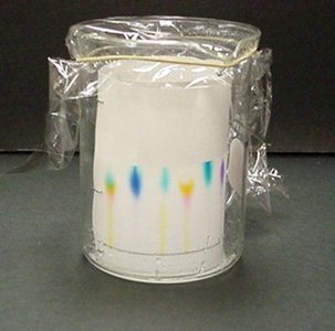 Chromatography setup with separated dyes