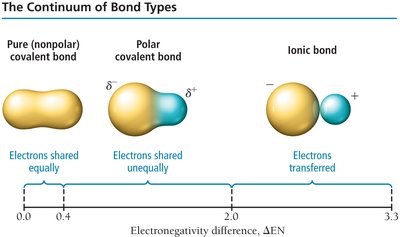 Continuum of bond types based on electronegativity difference