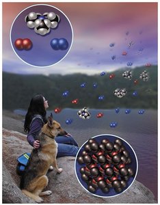 Atoms and molecules in the environment