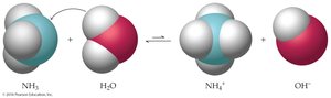 Ammonia acting as a Brønsted–Lowry base