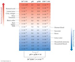 pH scale and common substances