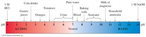pH scale diagram