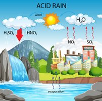 Acid rain formation and environmental impact
