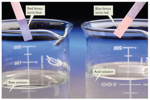 Litmus test for acids and bases