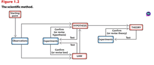 Flowchart of the scientific method