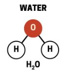 Water molecule H2O
