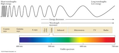 Electromagnetic spectrum and visible light