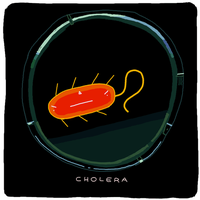 Cholera bacterium illustration