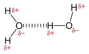 Hydrogen bonding between water molecules