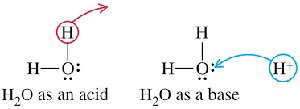 Water acting as acid and base