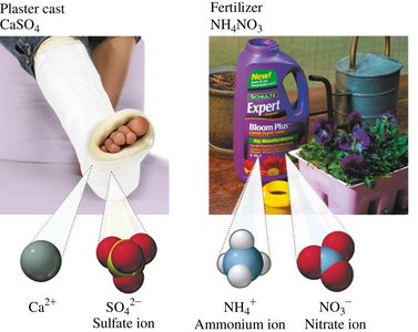 Polyatomic ions in everyday compounds