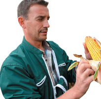 Farmer inspecting corn, representing chemistry in agriculture