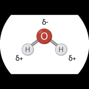Diagram of a polar water molecule showing partial charges