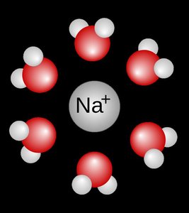 Hydration shell around a sodium ion