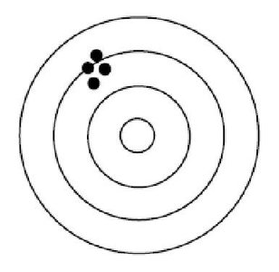 Bull's eye target with clustered arrows