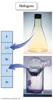 Halogens